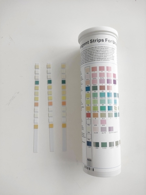 Fsc İdrar Tahlili Test Stripleri 10 Parametre 100 Strip/Şişe