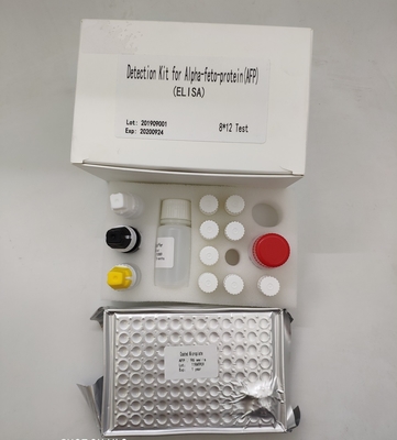 İnsan Serumunda Kantitatif Alfa Fetoprotein Elisa Saptama Kiti AFP