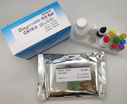 Tıbbi Teşhis Ca19-9 Elisa Test Kiti Antijen İmmünoassay Sandviç