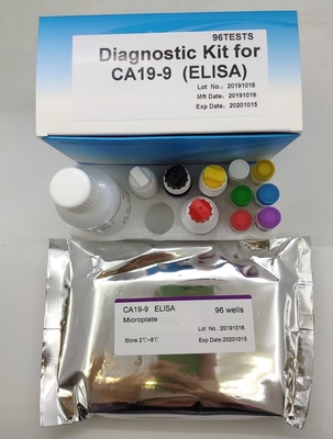 Tıbbi Teşhis Ca19-9 Elisa Test Kiti Antijen İmmünoassay Sandviç