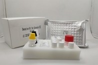 Hepatit B Çekirdek Antijeni İçin Serum Plazma Teşhis Testi Igg Elisa Kiti
