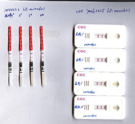 Ana Sayfa CLO Clonazepam İdrar Uyuşturucu Bağımlılığı Test Kiti 400ng/Ml