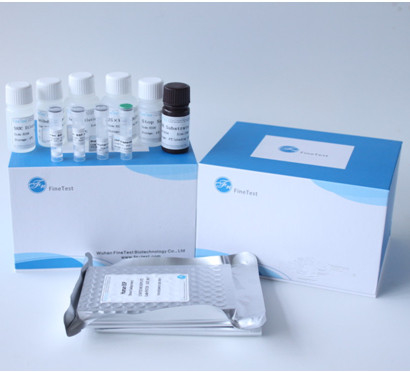 Anjiyotensin I Dönüştürücü Enzim ACE Elisa Test Kiti INVBIO