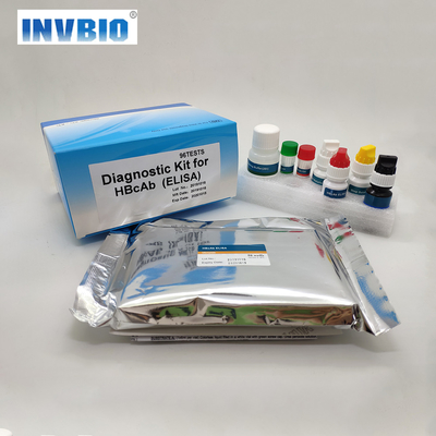Tıbbi Teşhis HBsAb Elisa Test Reaktifleri OEM Paketleme