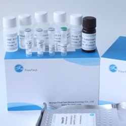 Fsc Sertifikalı Elisa Kiti İnsan Ifnw1 İnterferon Omega-1